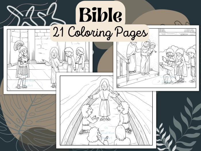 My bible coloring book